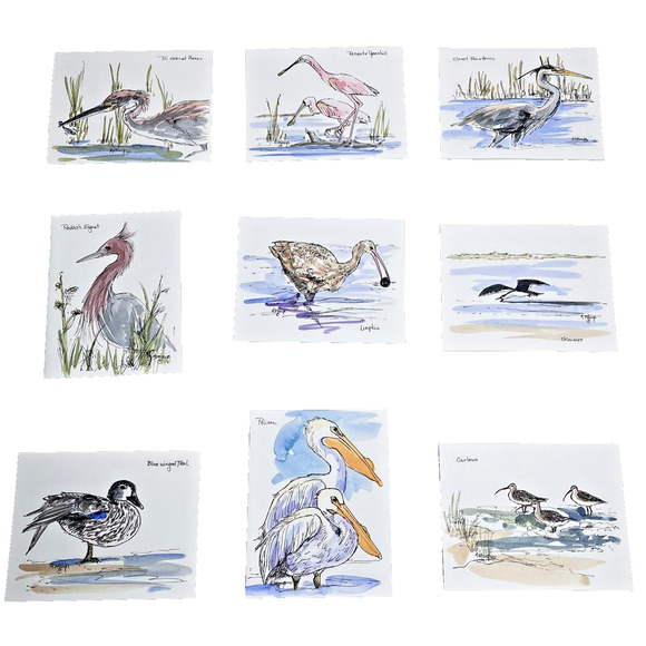 Other - Hand painted Greeting Cards Shore Birds Cards Ink & Watercolor Signed 9 Blank